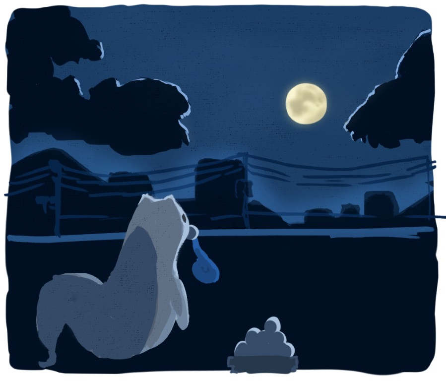 十五夜モチゴAkyo